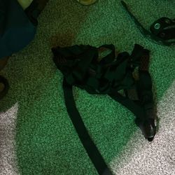 Regular Harness