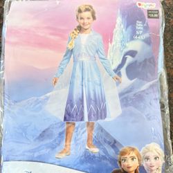 Disney Frozen Elsa Halloween Costume