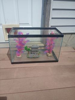 10 gallon aquarium