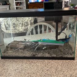 Complete 10 Gallon fish Tank 