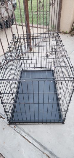 Big cage 30.00