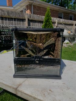 Exoterra enclosure