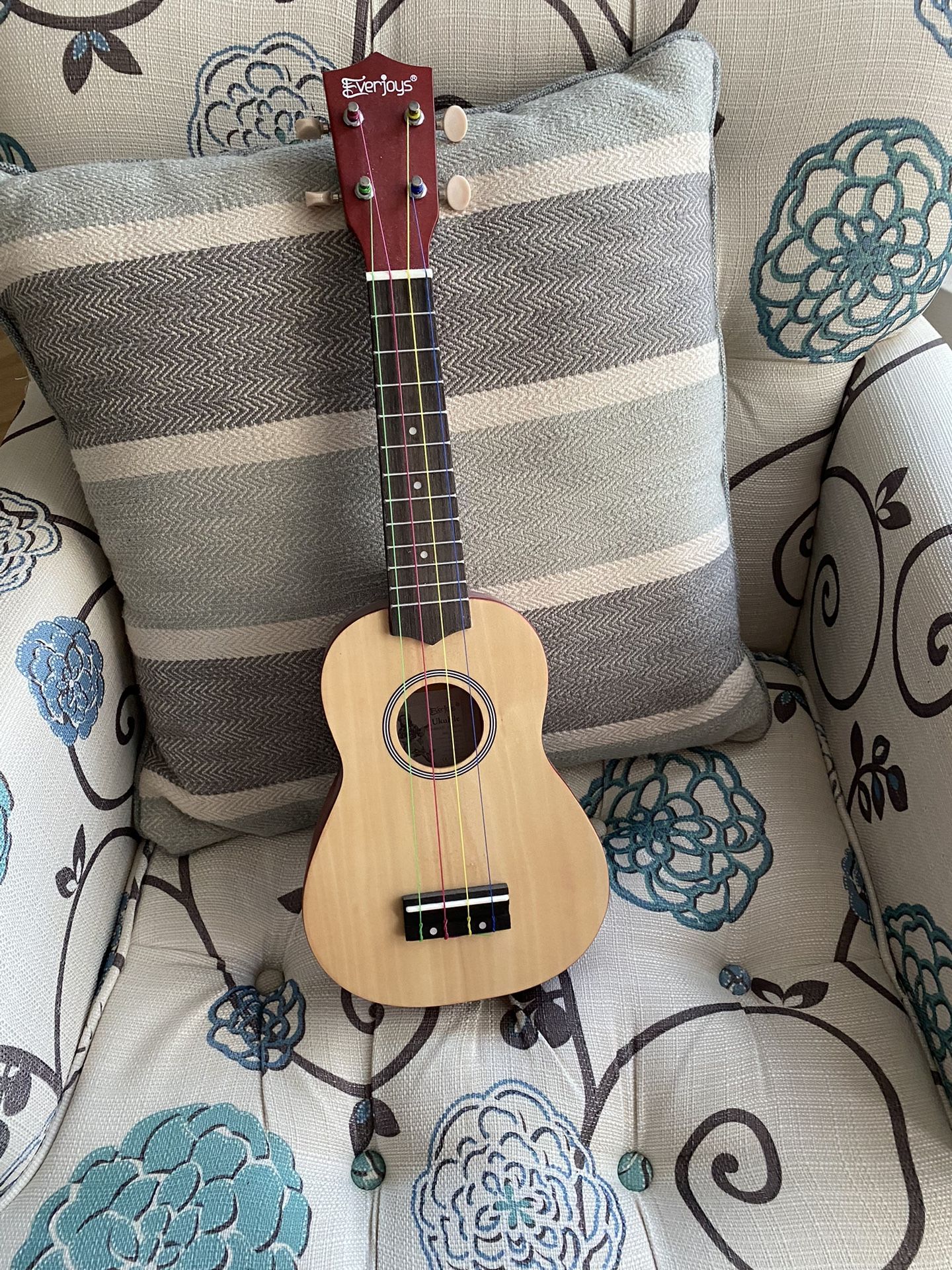Rainbow Ukulele 