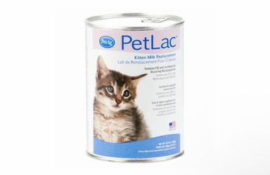 Cat milk powder