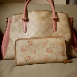 Coach Purse And Wallet