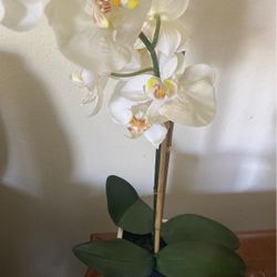 Artificial Orchid  