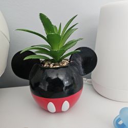 Mickey Mouse Planter With Succulent