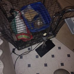 Rabbit Cage And Some Accessories 