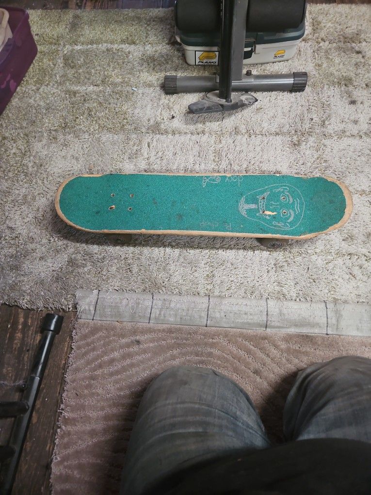 Skate Board