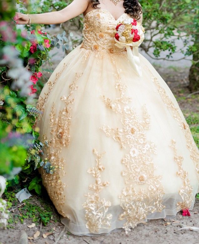 Quinsenera Dress