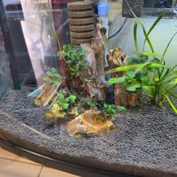 Black Substrate for Aquarium Fish Tank