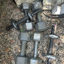 Dumbbell Weights 