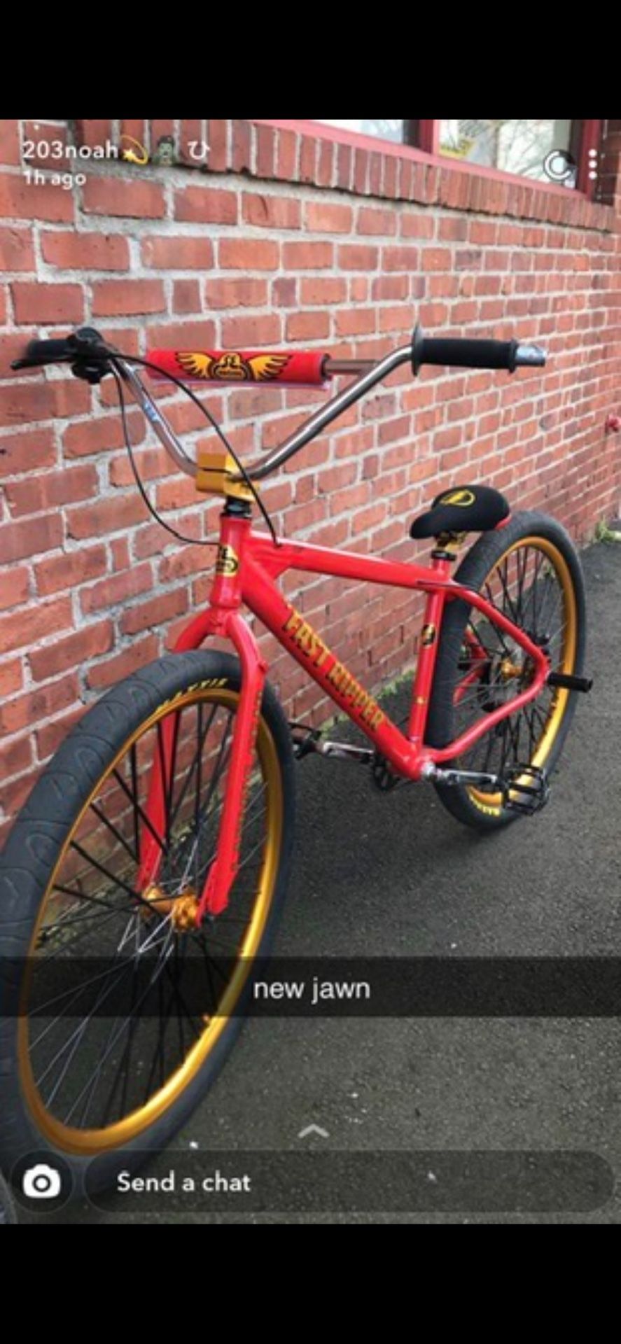 Fast Ripper Se Bike