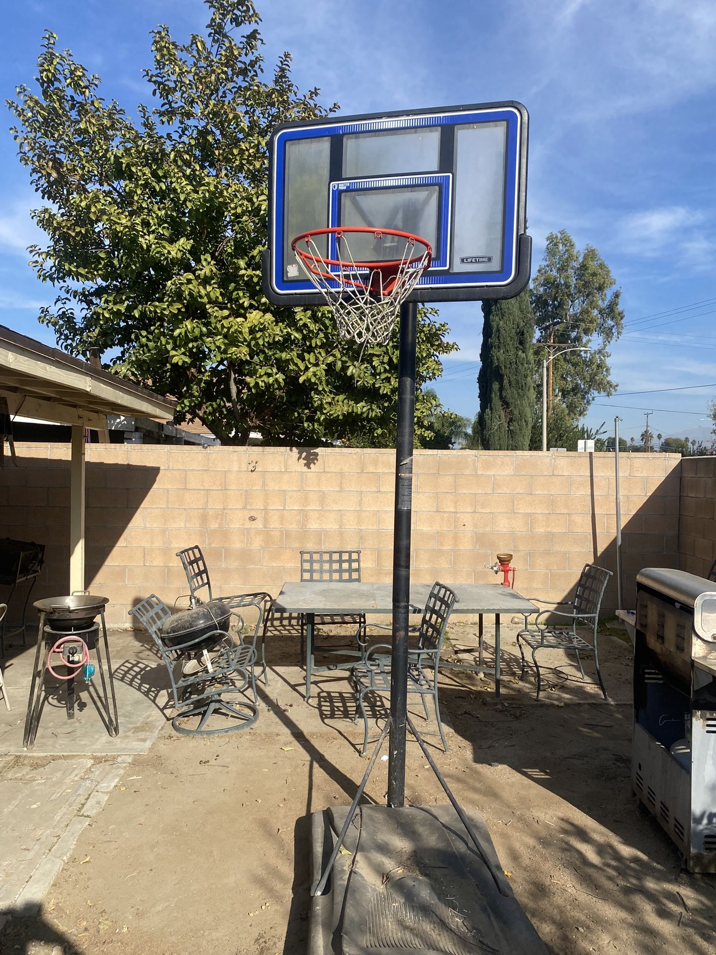 Life Time Basket Ball Hoop