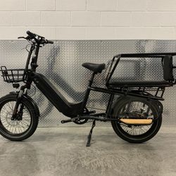Electric Passenger Bus Style E-bike, 750W, 28mph, 20x3.0 heavy tread tire, Hydraulic Brakes, Step Through Thru