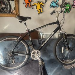 Diamondback Wildwood Classic Bike - Men’s Large