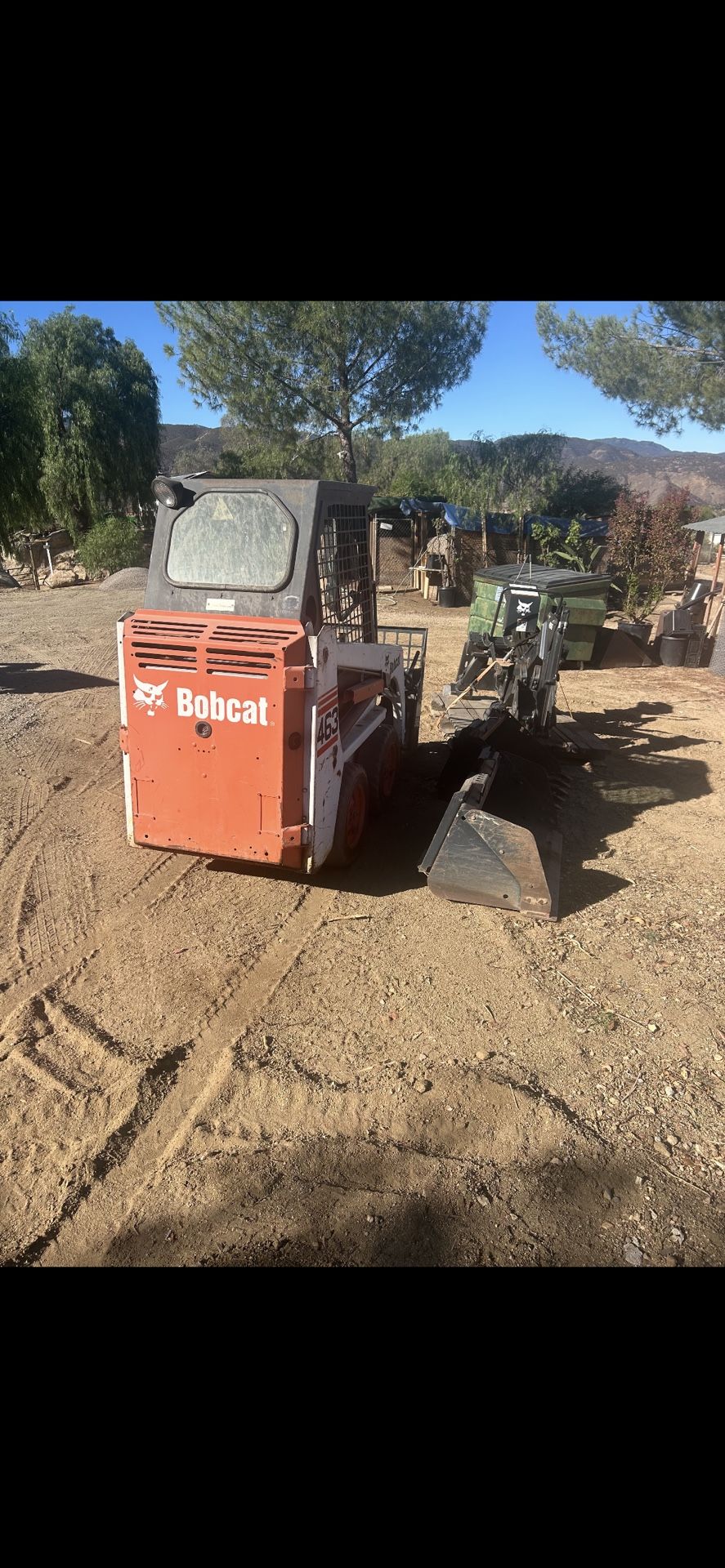 Bobcat