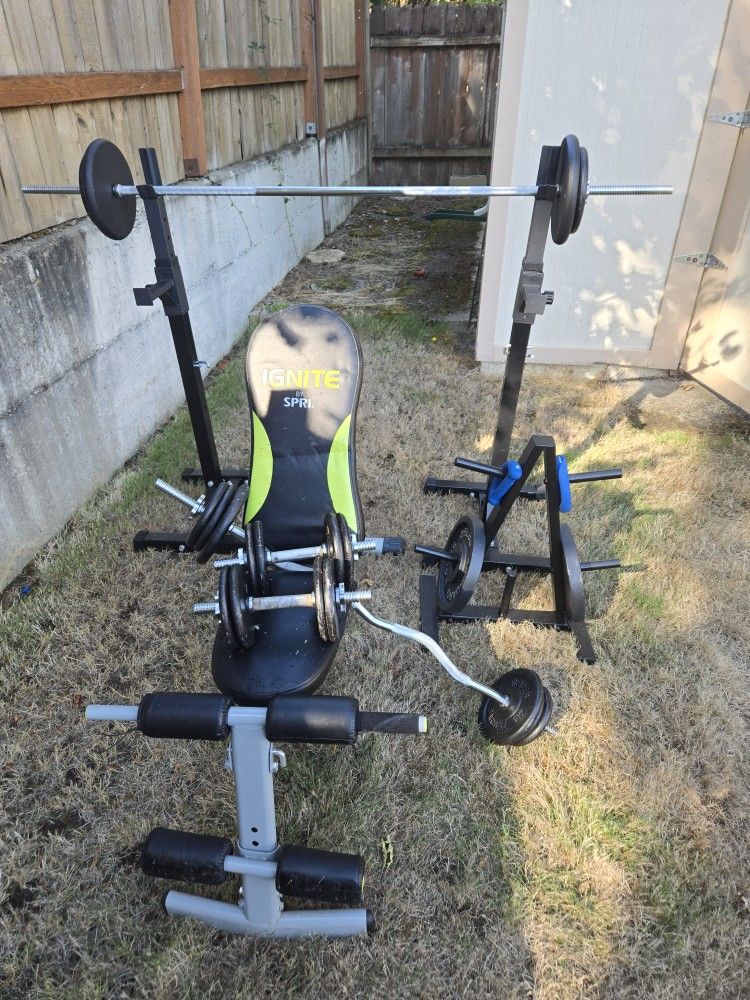 Weight Bench + Bars/Free Weights