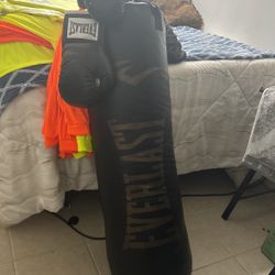 300lbs de everlast punching bag and gloves 