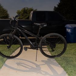 Nishiki Bike