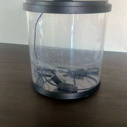 Pecera Con Luz  Small Fish Tank With Light