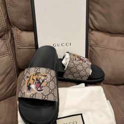 Tiger Gucci Slides
