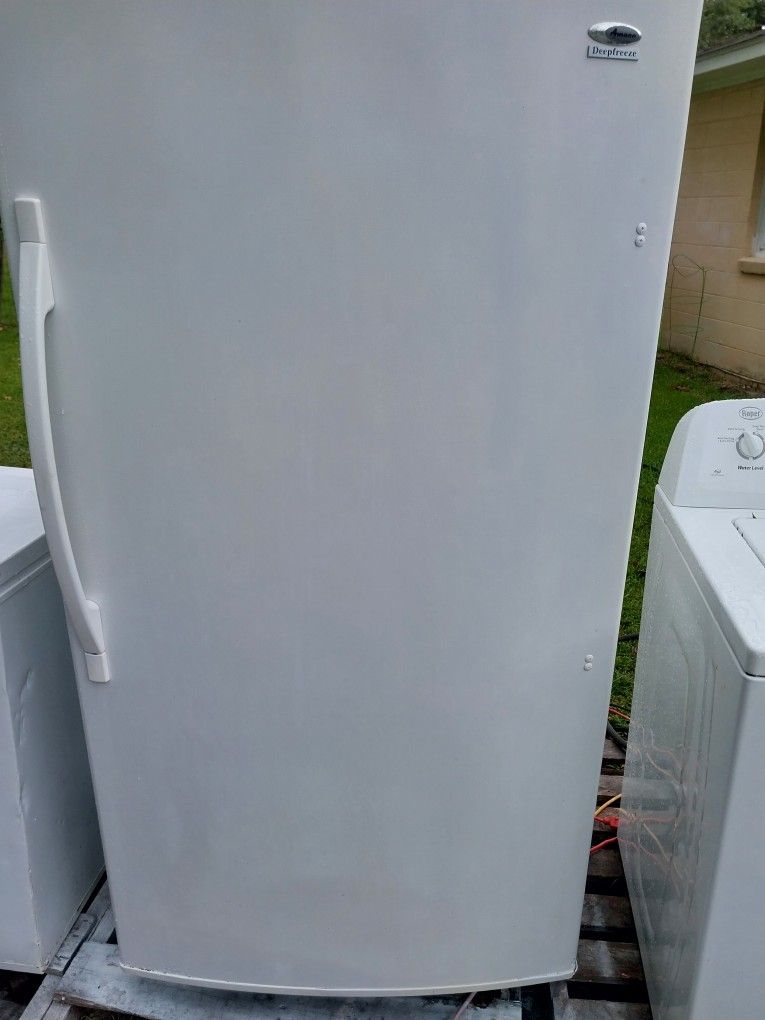 Frost Free Freezer