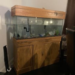55 Gallon Aquarium 
