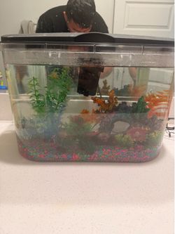 25 gallon fish tank