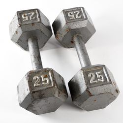 2X 25lb Metal Dumbbell Weights Exercise Equipment Fitness Gym Gear