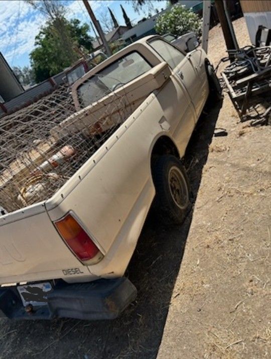 1982 Isuzu Pickup
