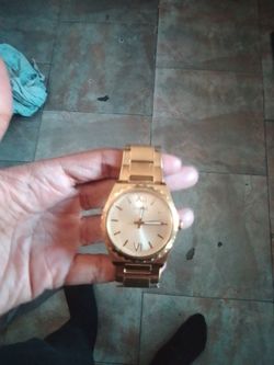 gold Tone guees