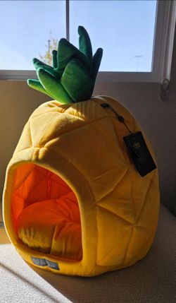 Pineapple small dog house