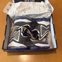 NIKE LEBRON XIX Black/University Gold Shoes