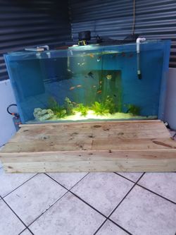 Selling Huge fishtank with everything in the pictures, $650