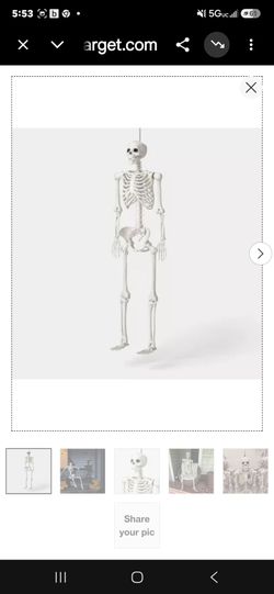 Halloween skeleton mannequin  decorations