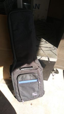 Wings guitar bag