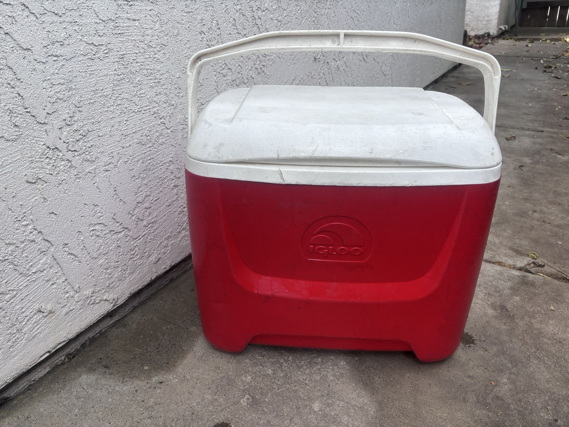 Igloo Cooler