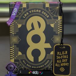 EDC VIP Ticket (Discounted)