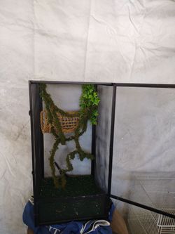 Reptile Terrarium Enclosure with Decor