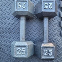 25lbs Dumbells Weights