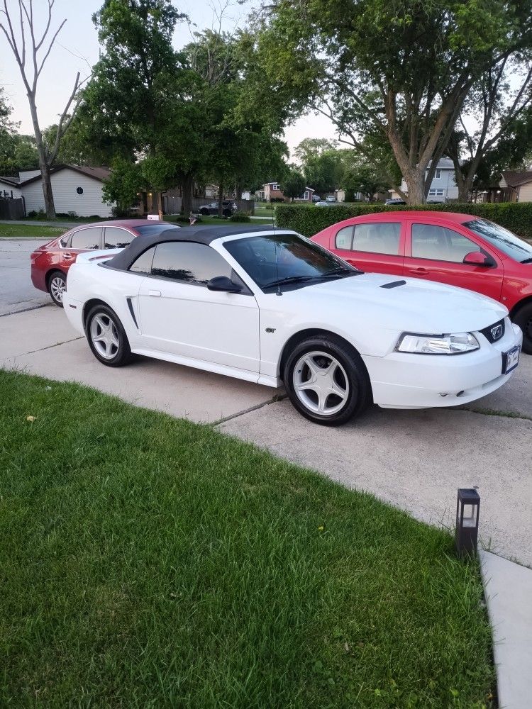 2000 Ford Mustang
