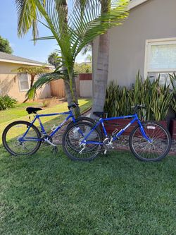 1989 & 1990 Trek 950 Singletrack Pair - USA True Temper Steel CrMo - Garage Queens!