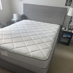 Queen Size Bed, Mattress & Box Spring