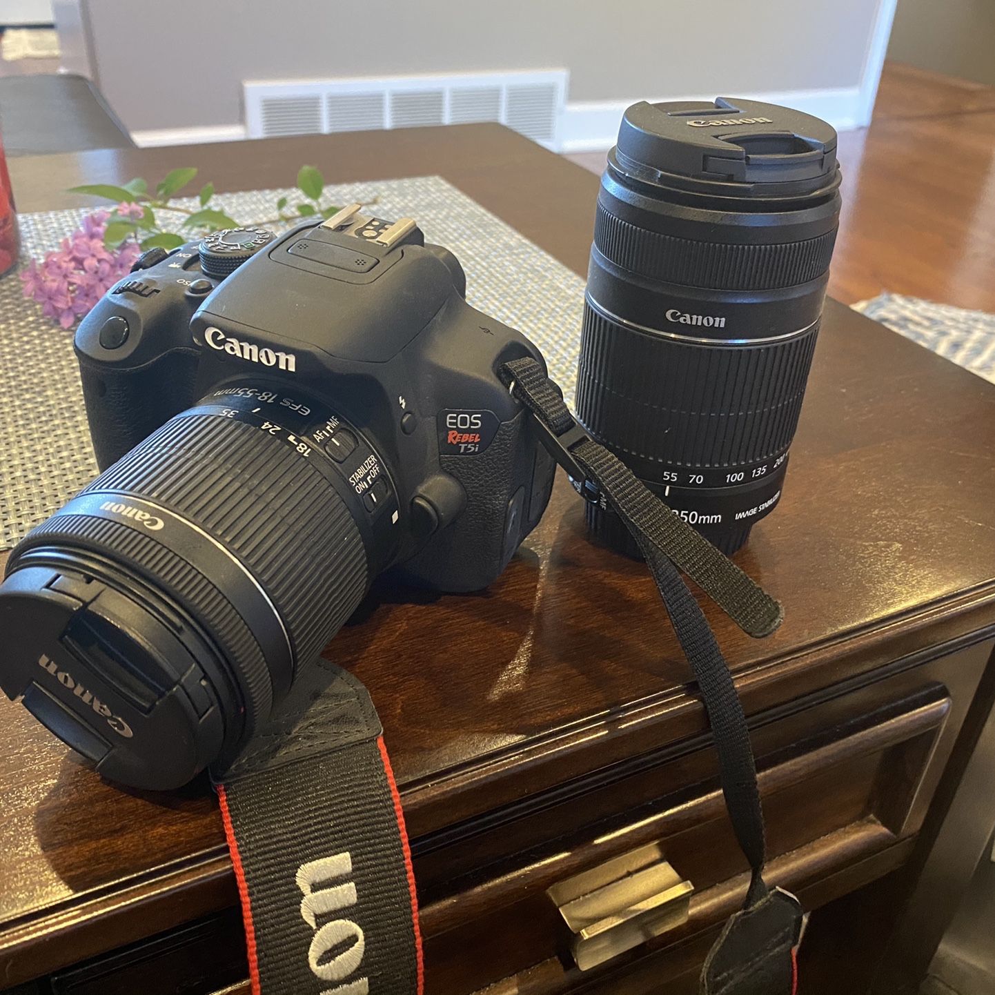 Canon EOS Rebel T5i With Accessories 