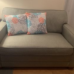 Loveseat / Memory Foams  Sofa Bed  From Costco 
