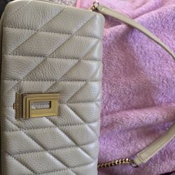 Karl Langerfield Purse