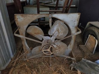 Fan