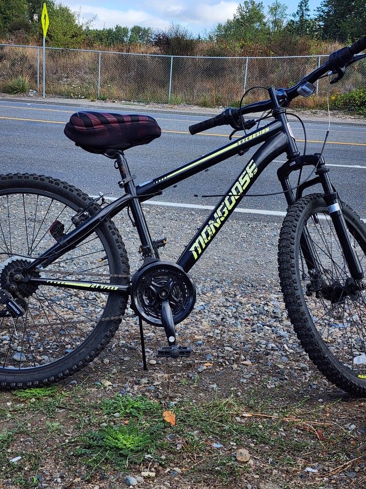 Momgoose Excursion '24 Bike