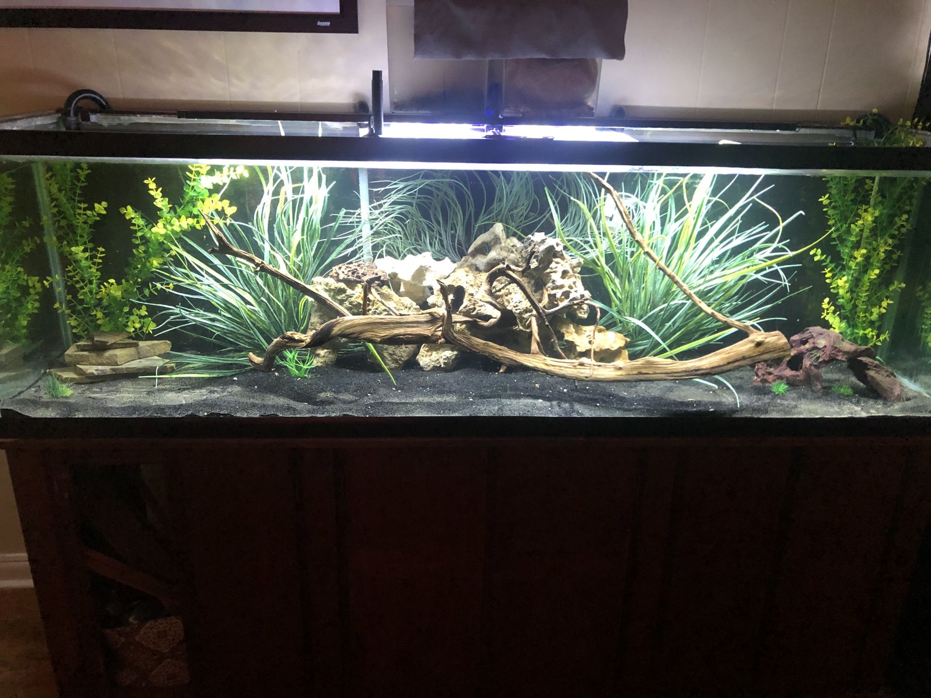 150g aquarium